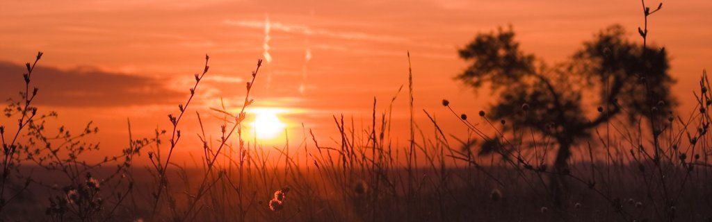 Équinoxe d’automne : une invitation à retrouver votre équilibre