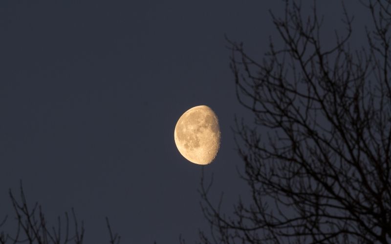 Lune montante ou descendante : quel impact sur vos émotions ?