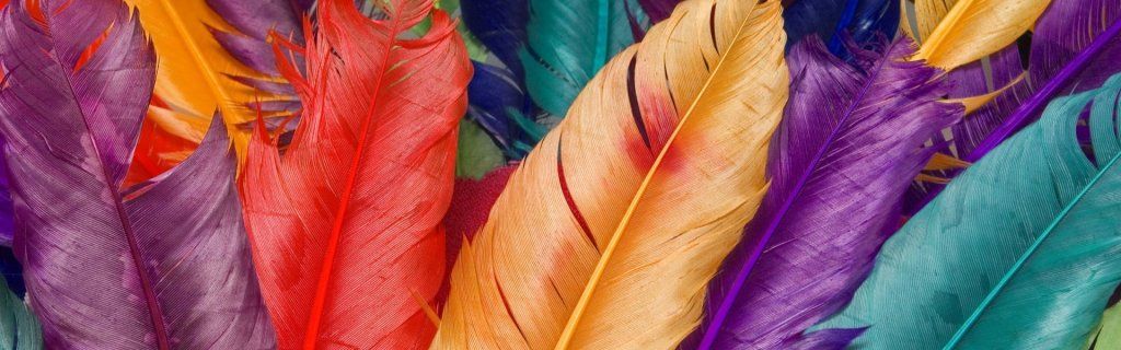 Les plumes trouvées sur votre chemin : signification selon leur couleur