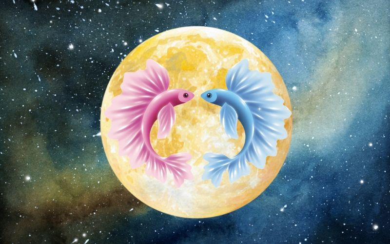 Signe Lunaire Poissons : ce que la lune révèle sur votre personnalité